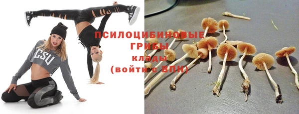 спиды Богданович