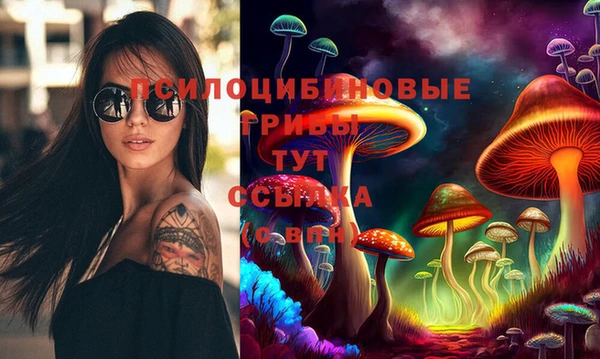мяу мяу мука Каменск-Шахтинский